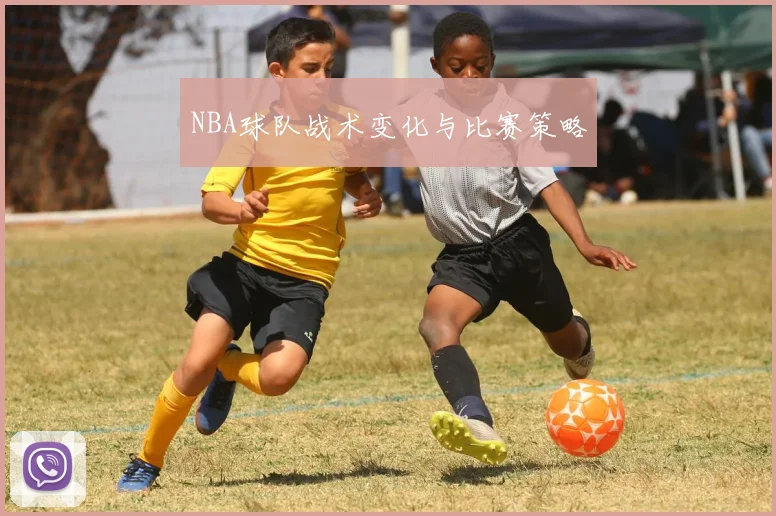 NBA球队战术变化与比赛策略