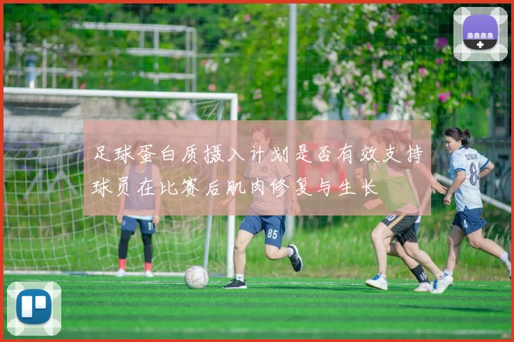 足球蛋白质摄入计划是否有效支持球员在比赛后肌肉修复与生长